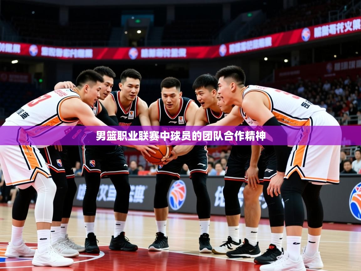 2025九娱游戏官网入口男篮职业联赛中球员的团队合作精神