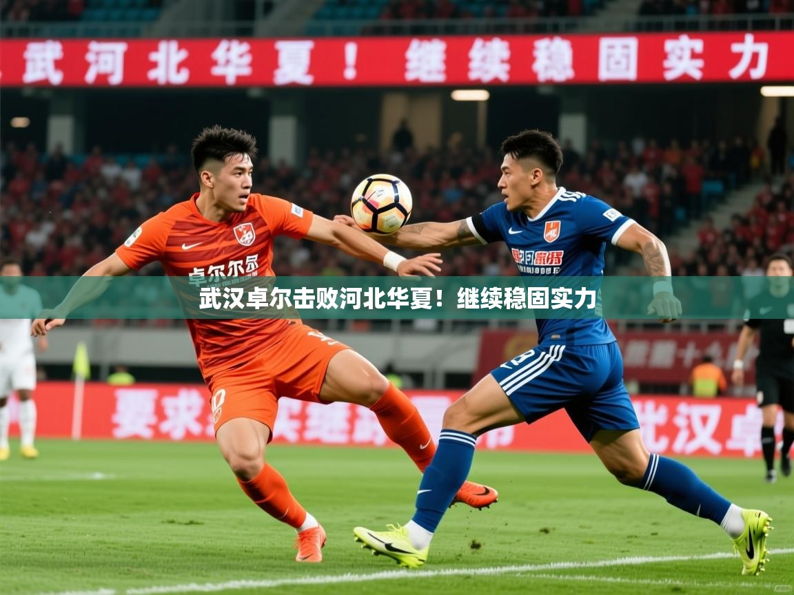 2026九游娱乐app赞助不莱梅武汉卓尔击败河北华夏！继续稳固实力