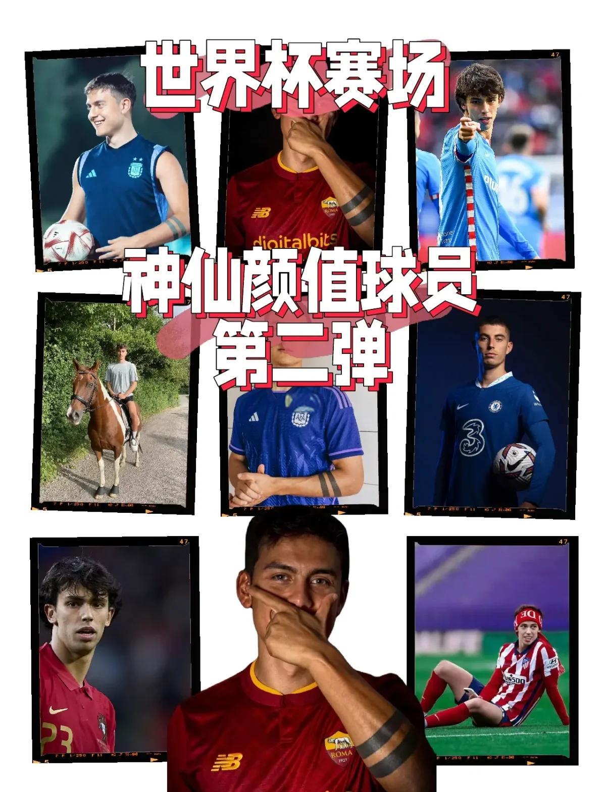 关于球员技术精湛，赛场风光无限的信息
